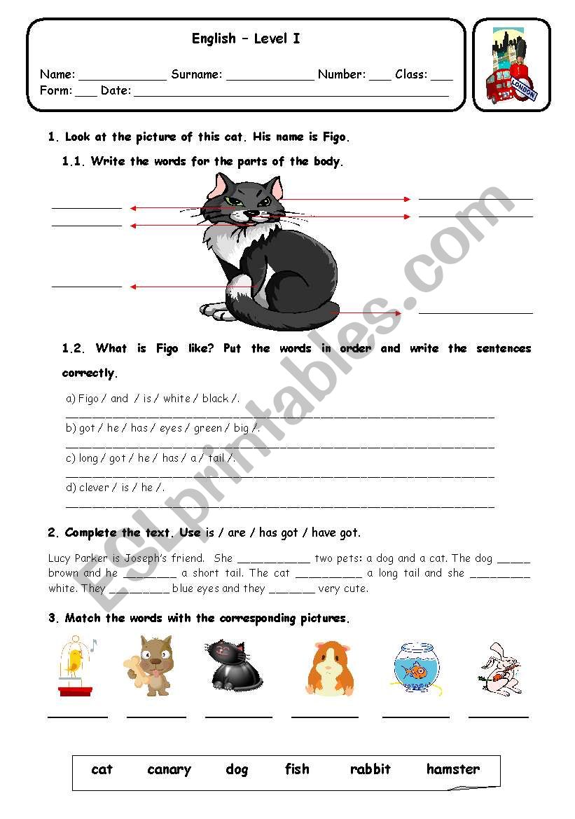 PETS worksheet