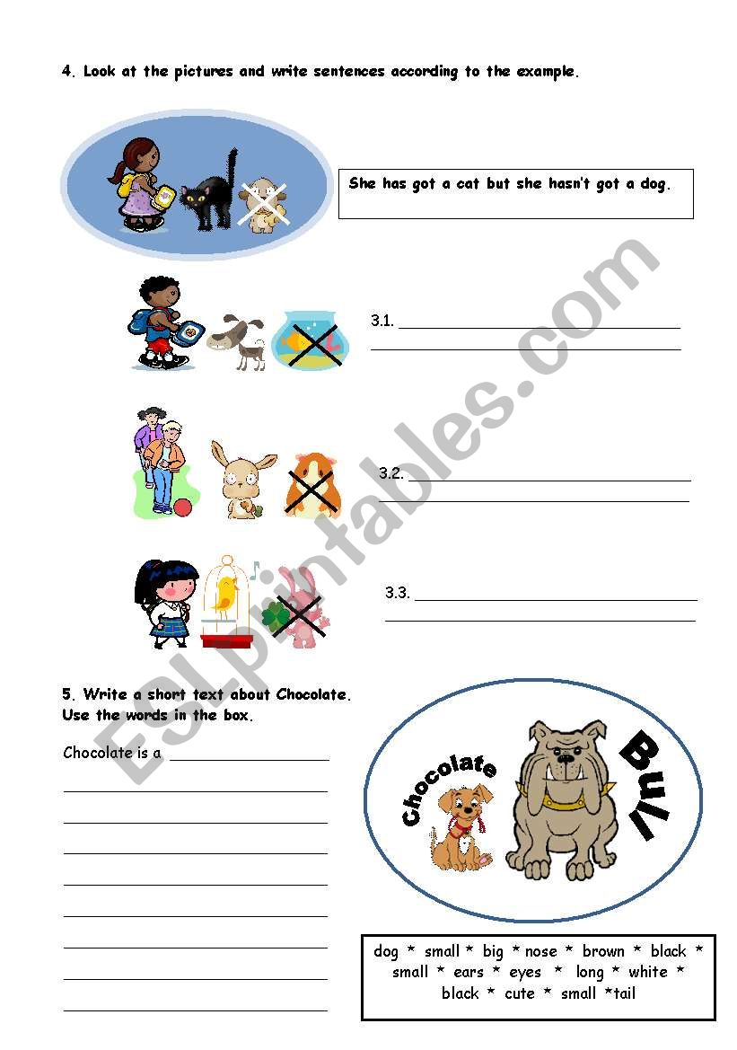 PETS - PAGE 2 worksheet