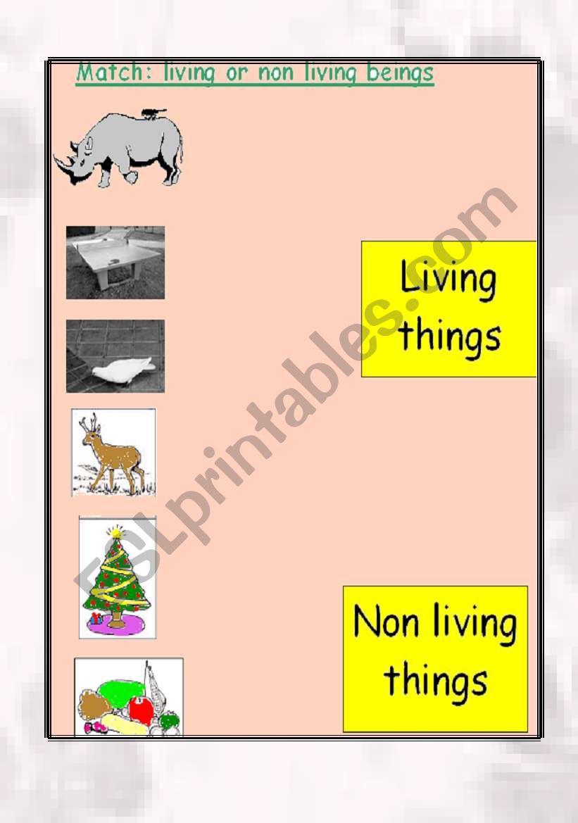 living and non living things worksheet