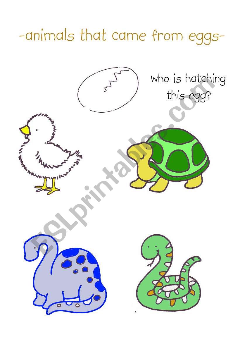 English worksheets: animals that came from eggs
