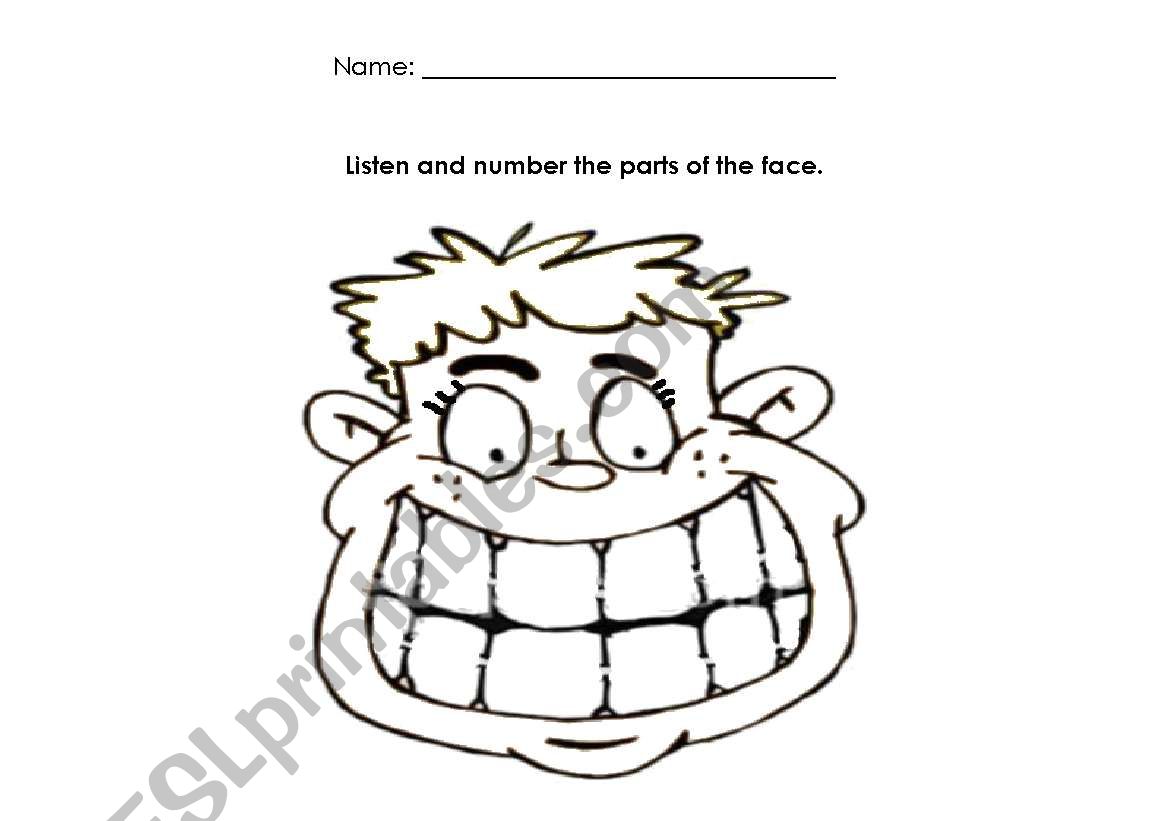 Parts of the face worksheet