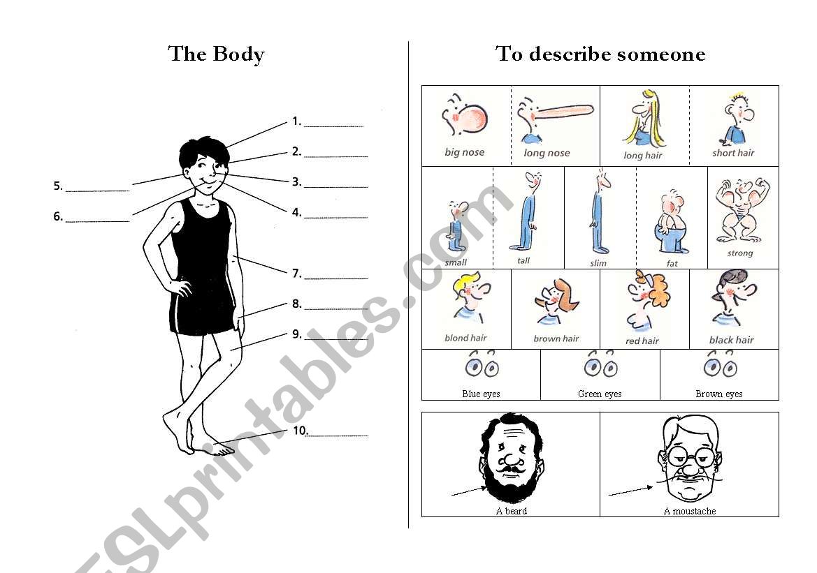 Physical Description worksheet