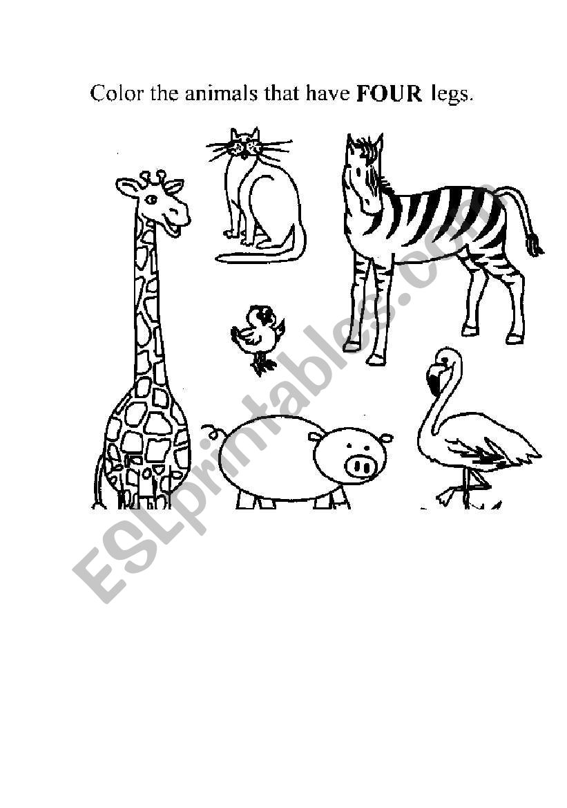 Animals worksheet