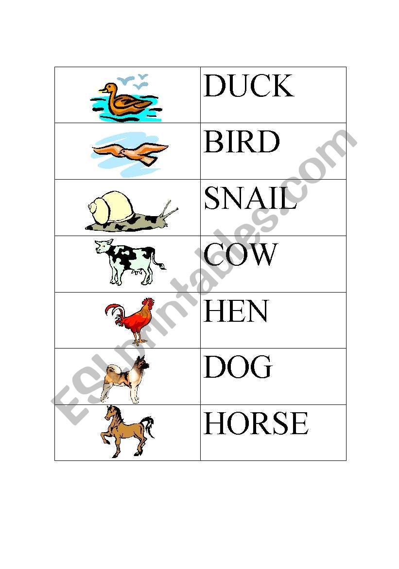 Animal Snap worksheet