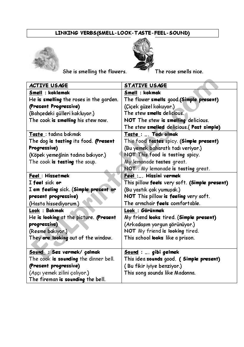 linking verbs worksheet