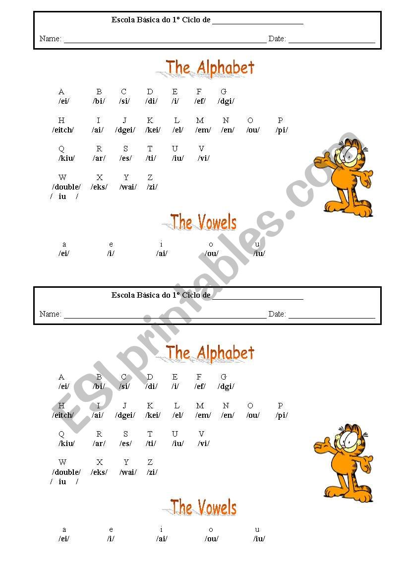 the alphabet worksheet