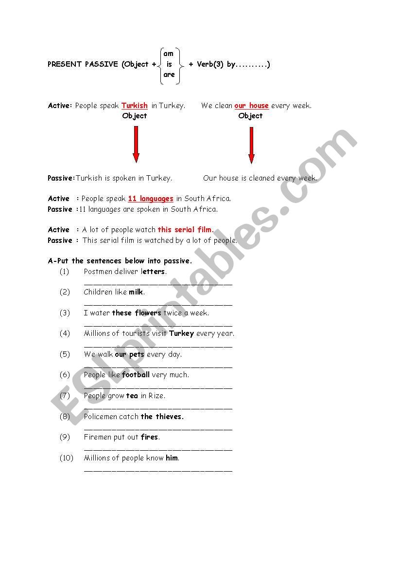 passive worksheet