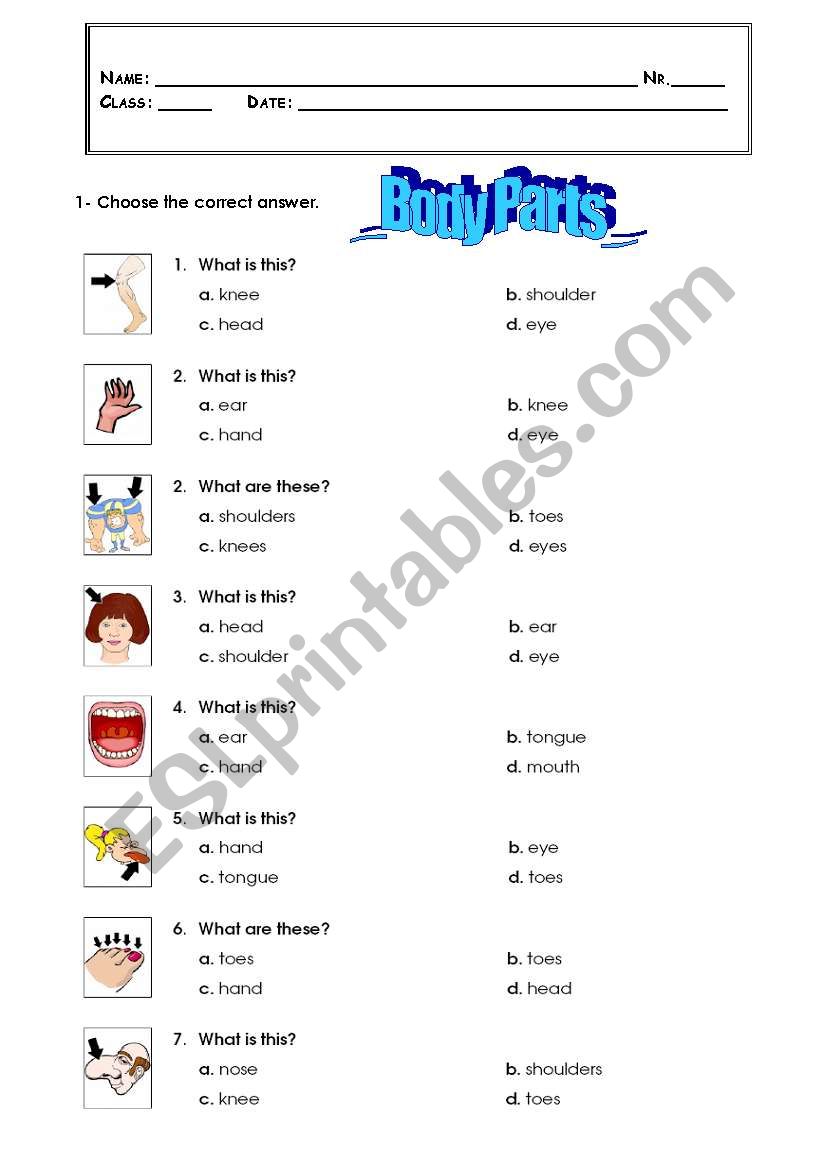 body parts worksheet