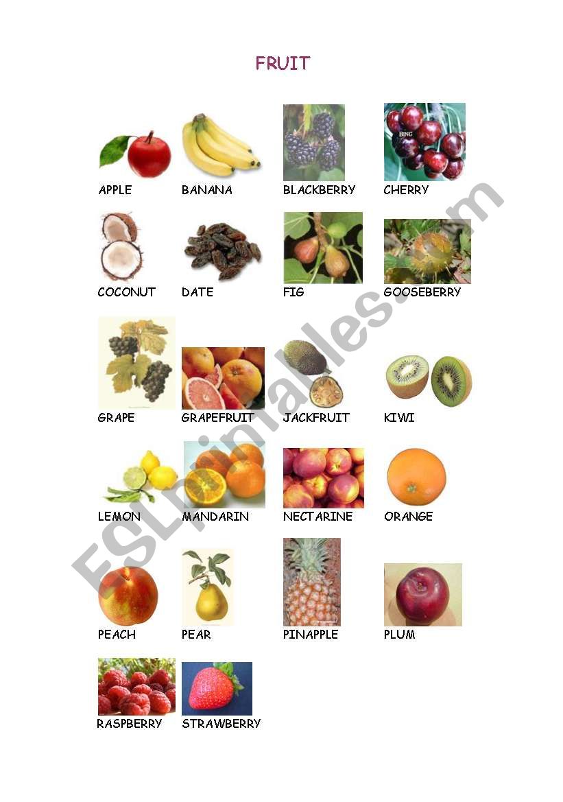 fruit worksheet