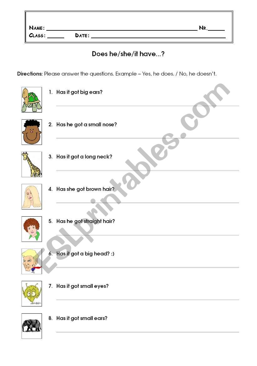 does he/she/it have? worksheet