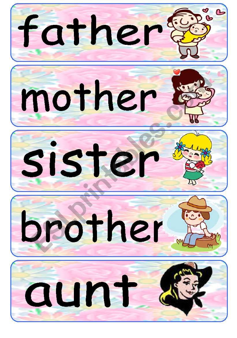 Family Flash Cards 1 worksheet