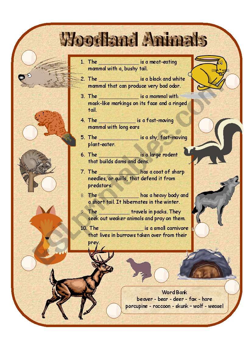 Woodland Animals worksheet