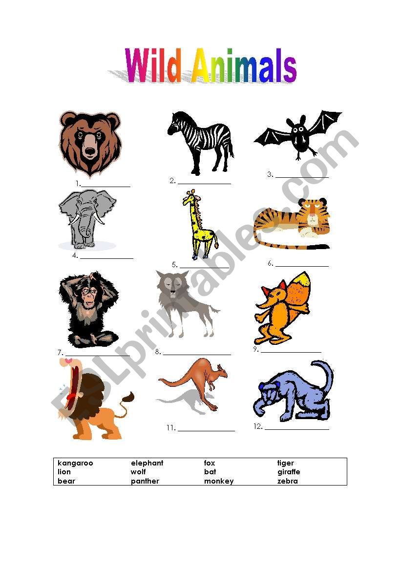 Wild Animals worksheet