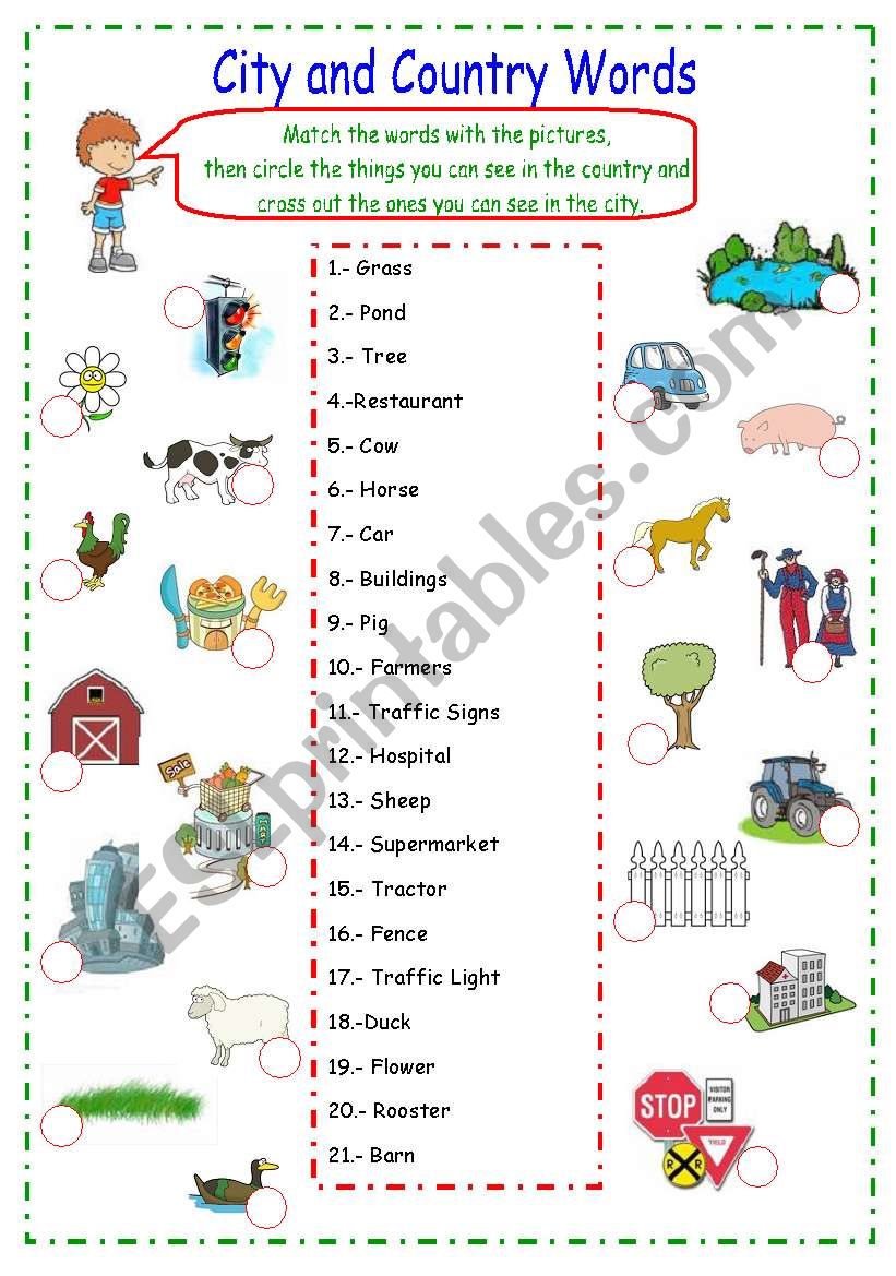 Country and City Words worksheet