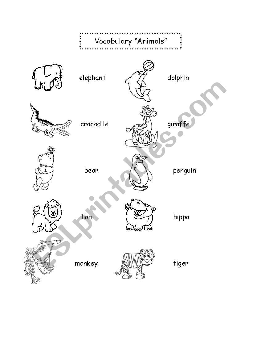 Animals worksheet