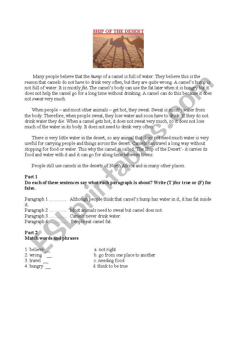 SHIP OF THE DESERT worksheet