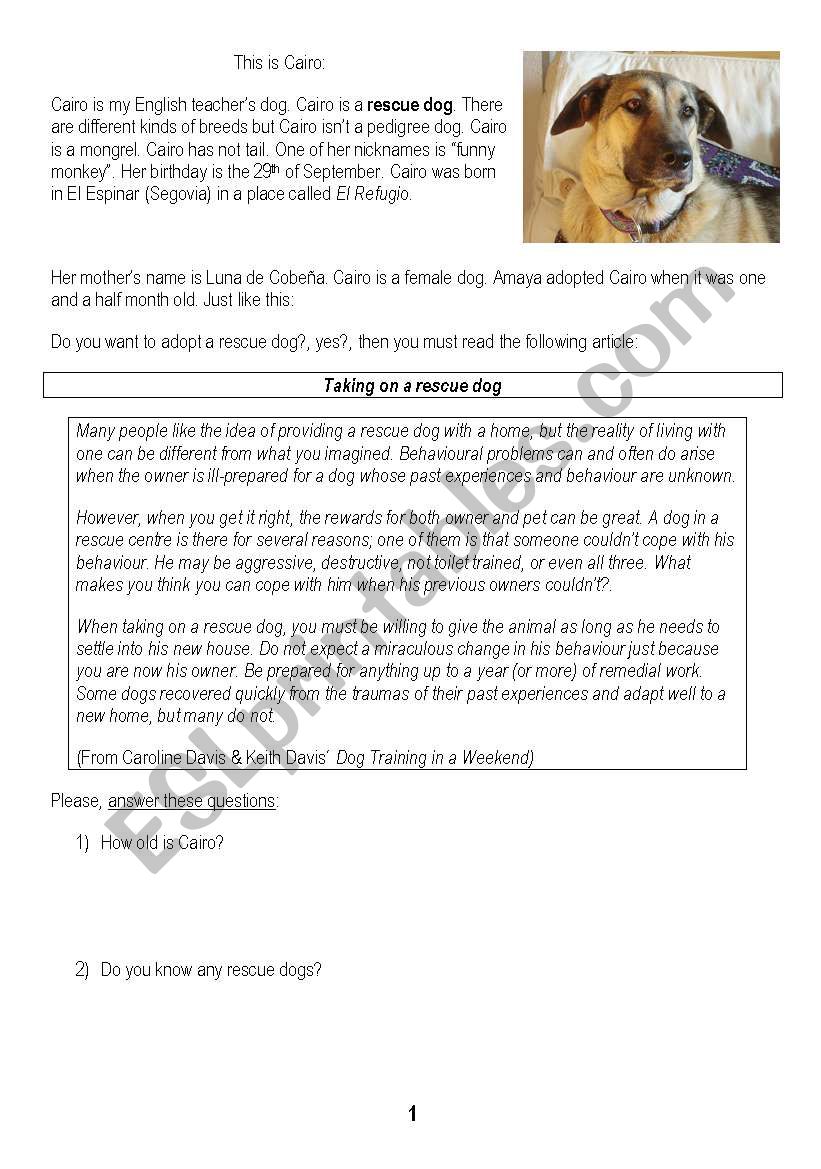 Rescue Dog Reading ESL worksheet by Canicas