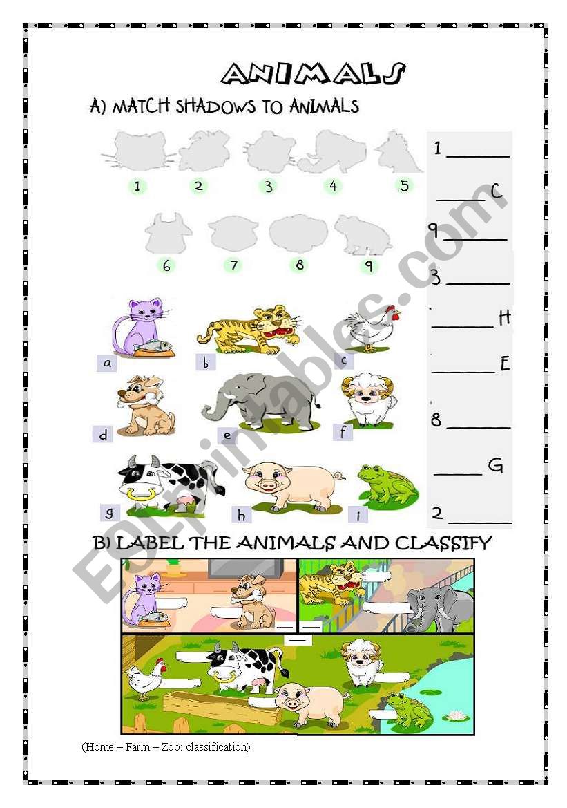 Animals worksheet