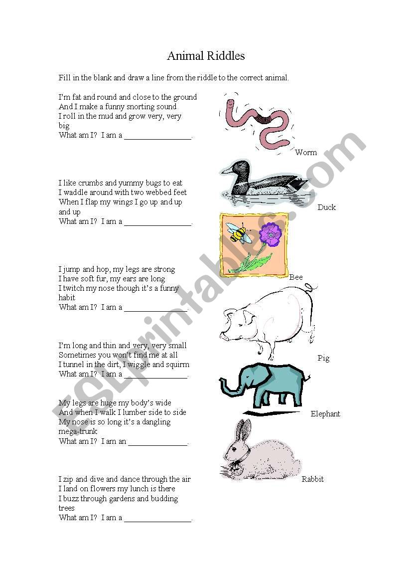 Animal Rhyming Riddles worksheet