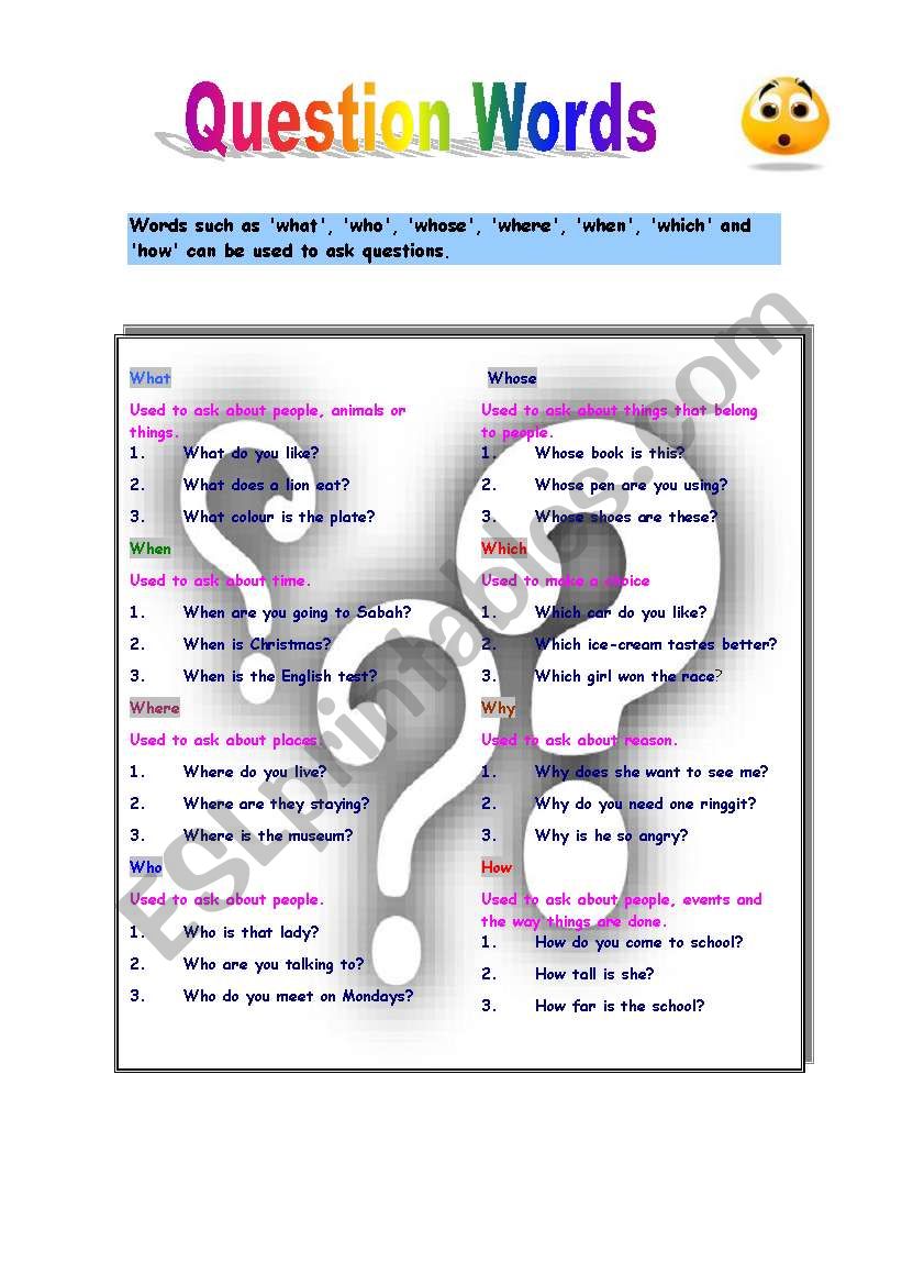 Question words worksheet