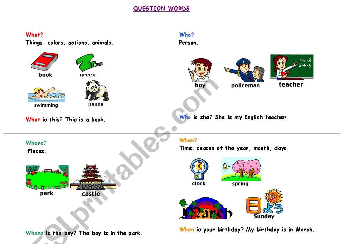 Question words worksheet