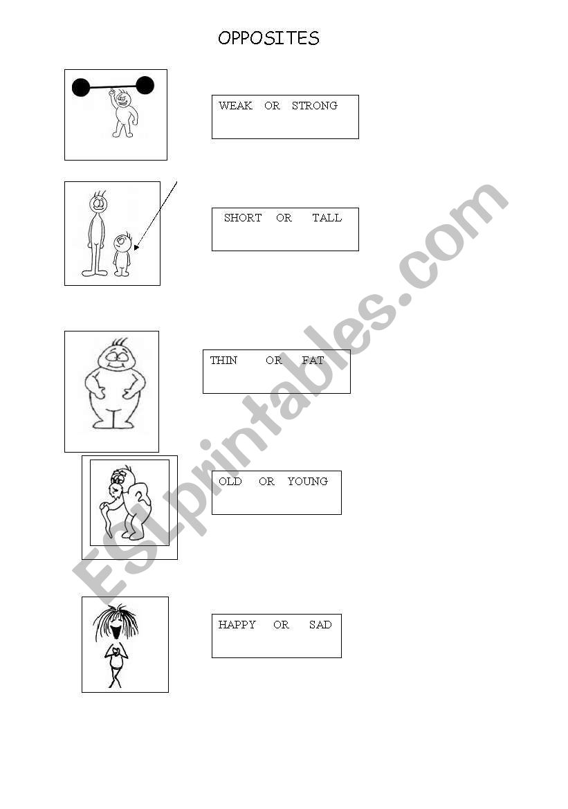 Opposites worksheet