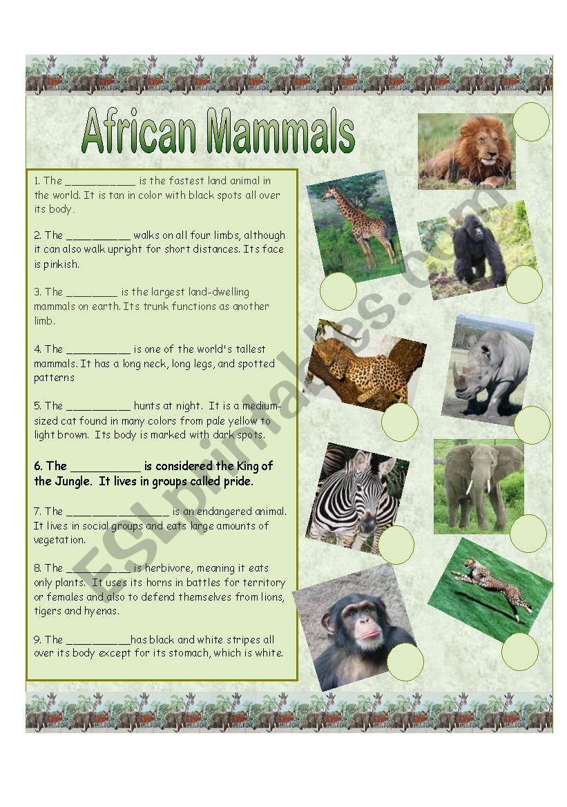 African Mammals worksheet