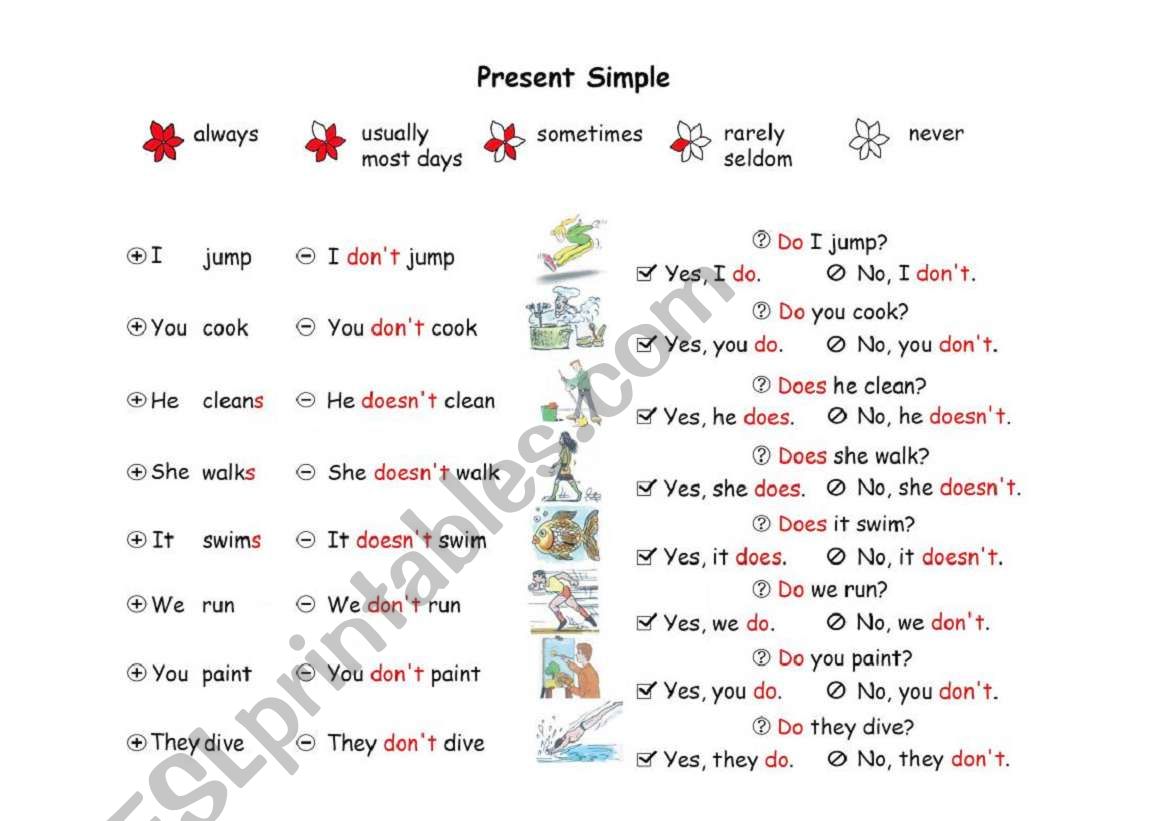 Present Simple Grammar Guide worksheet