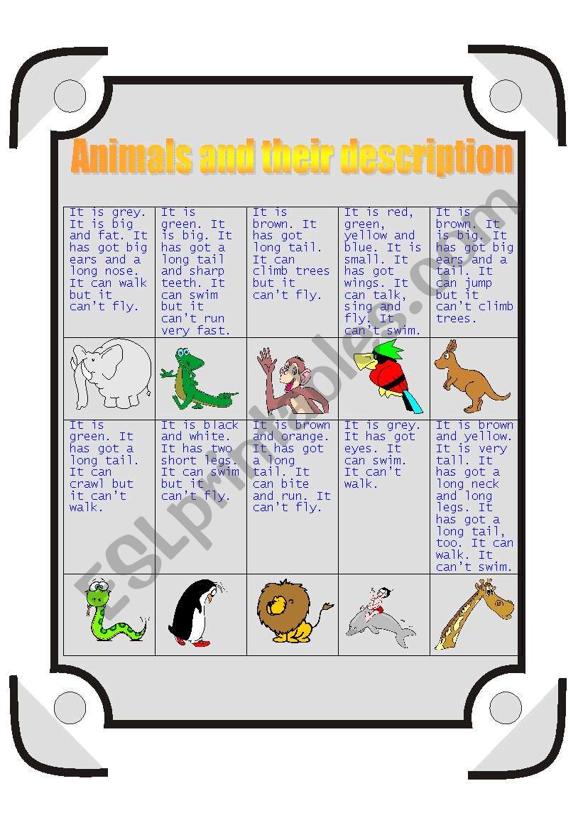 Animals  worksheet