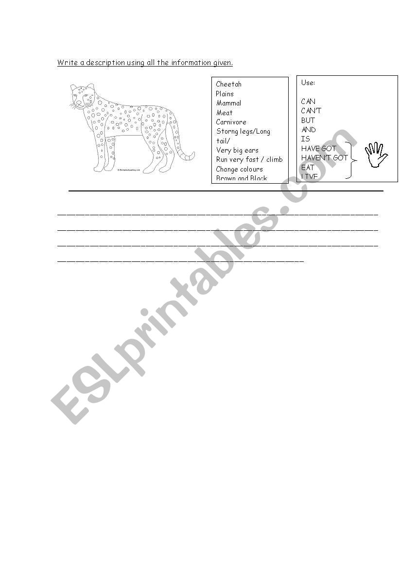 decribing animals worksheet