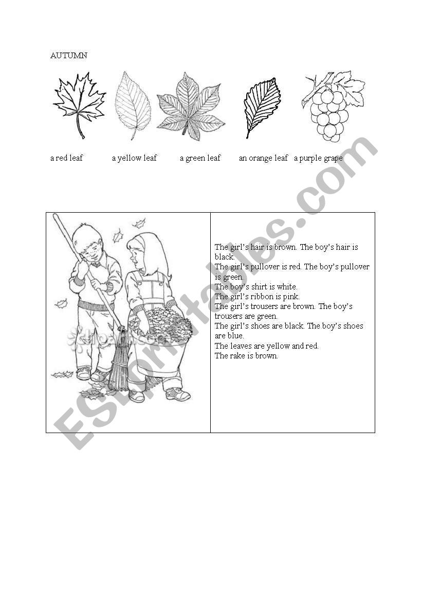 AUTUMN (colouring) worksheet