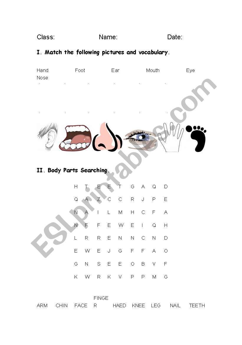 Bodt Parts  worksheet