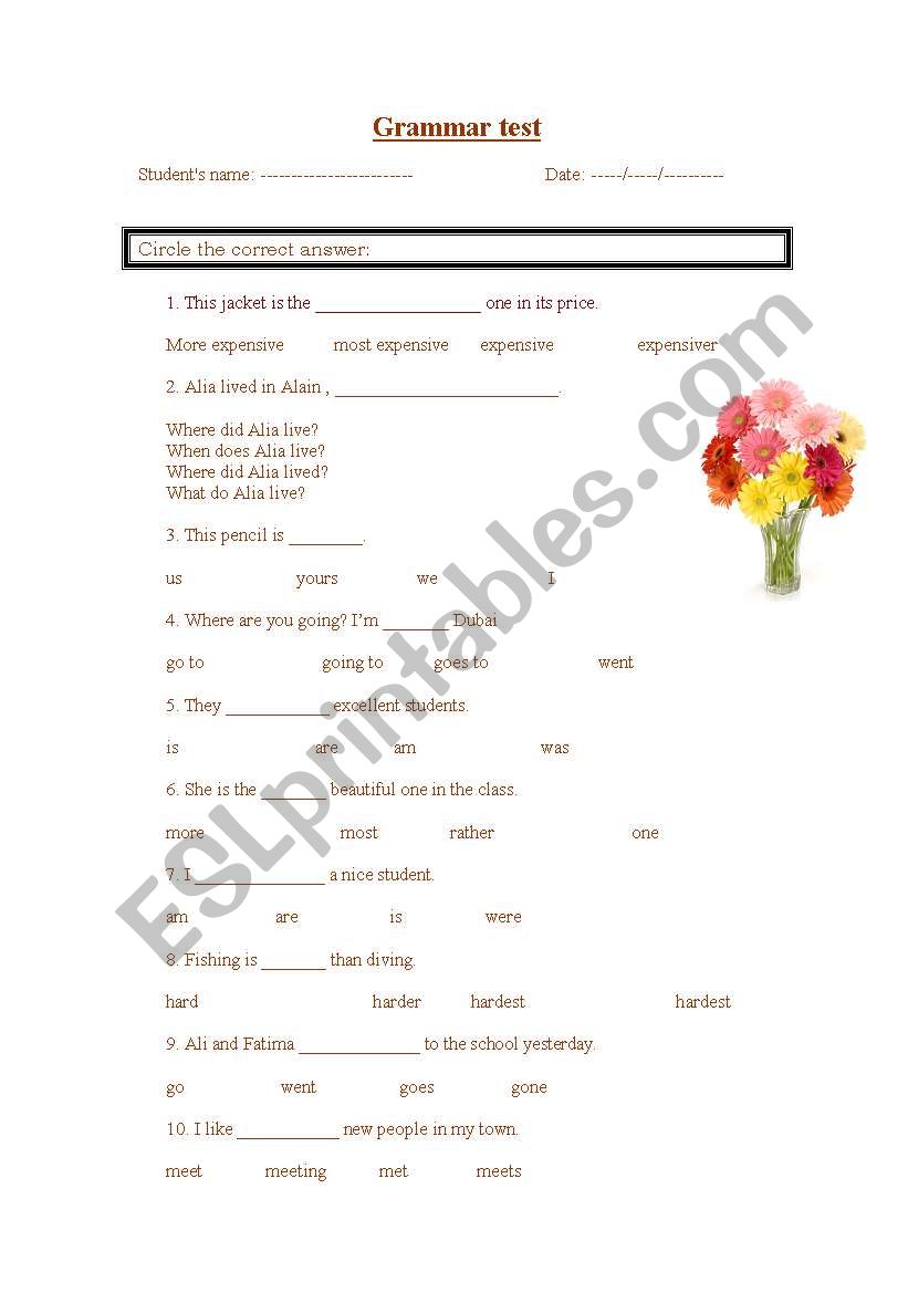 Grammar test worksheet