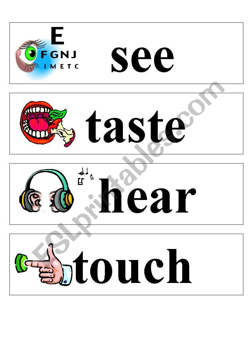 The five senses poster part 2 worksheet
