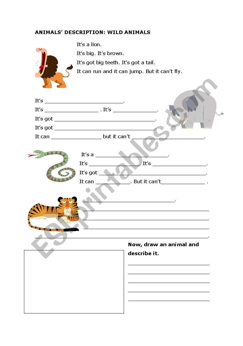 animals worksheet