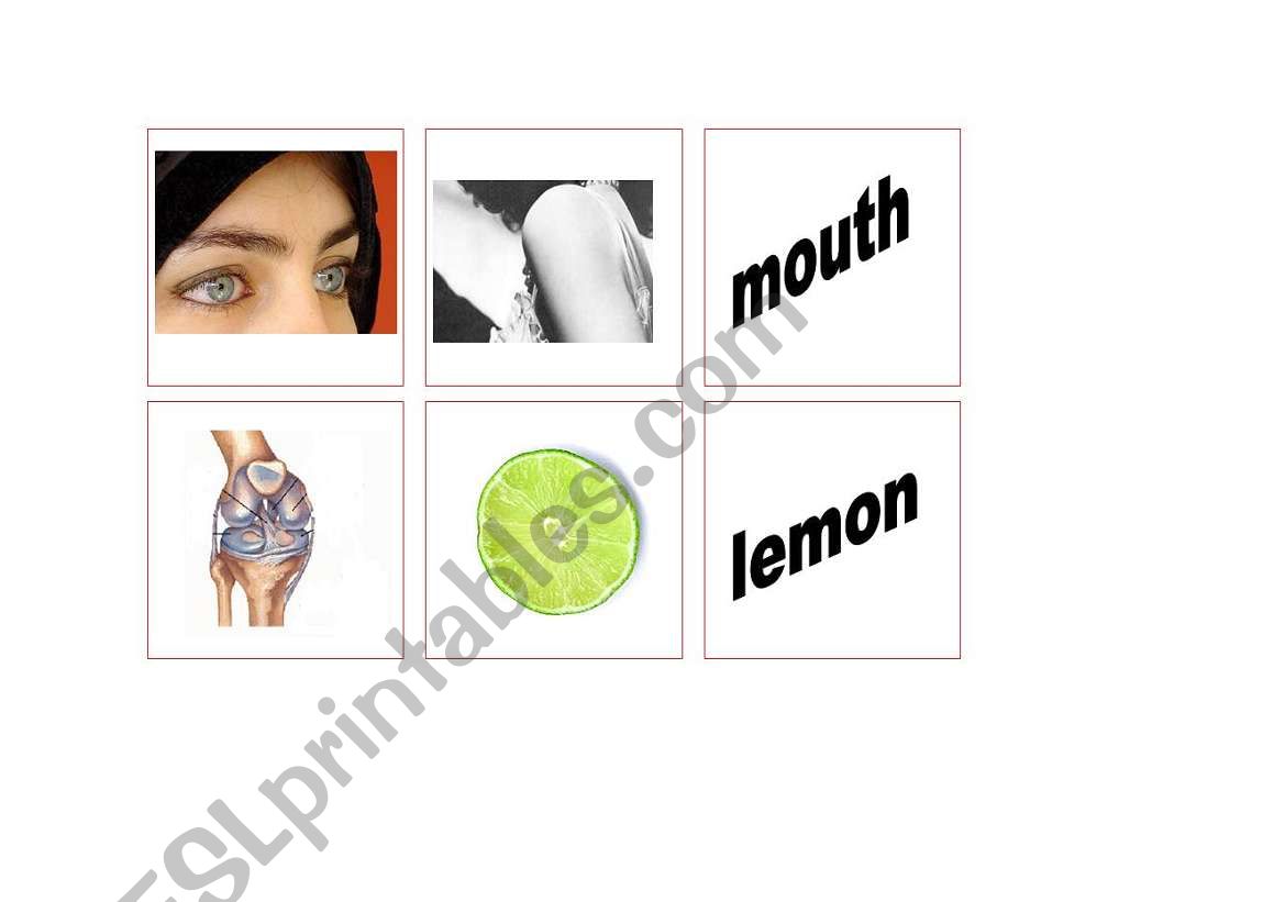 Memory game(fruits and parts of the body)