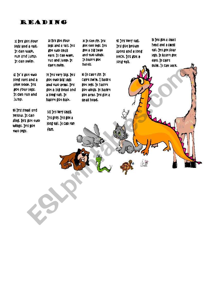 A reading about animals worksheet