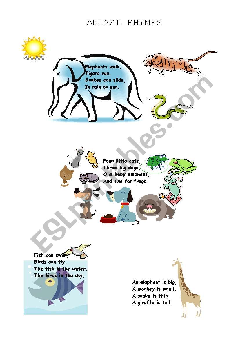 animal rhymes worksheet