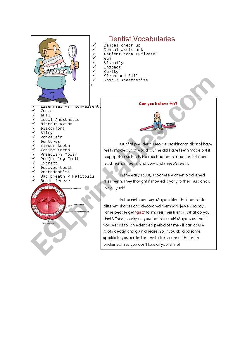 dentist vocabulary worksheet