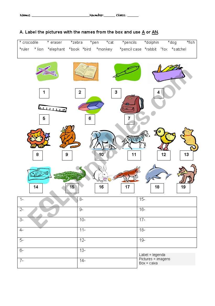 Indefinite articles worksheet