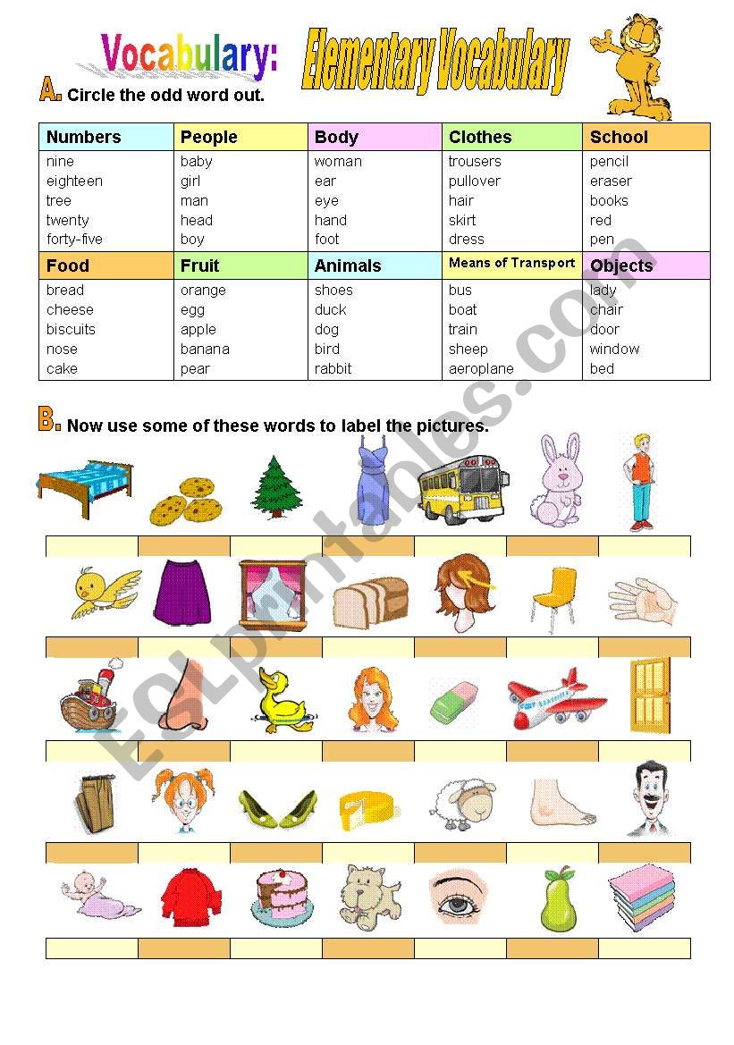 Elementary Vocabulary worksheet