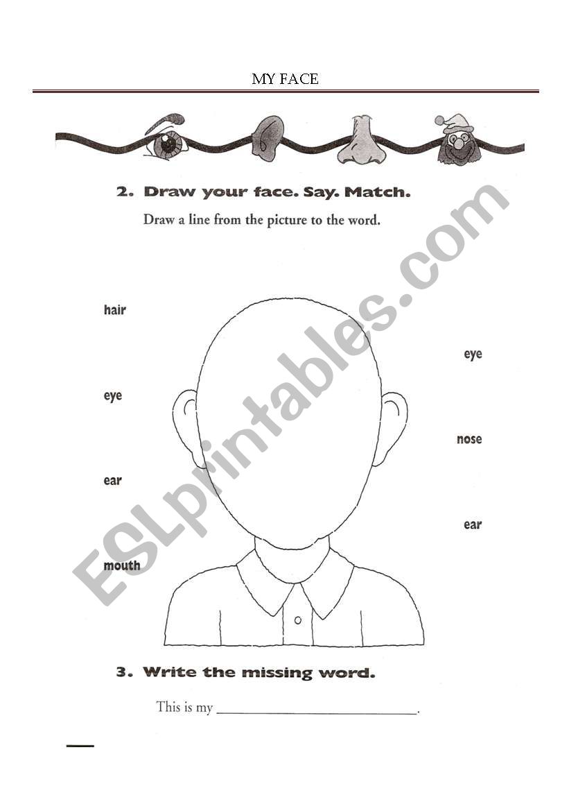 My face worksheet