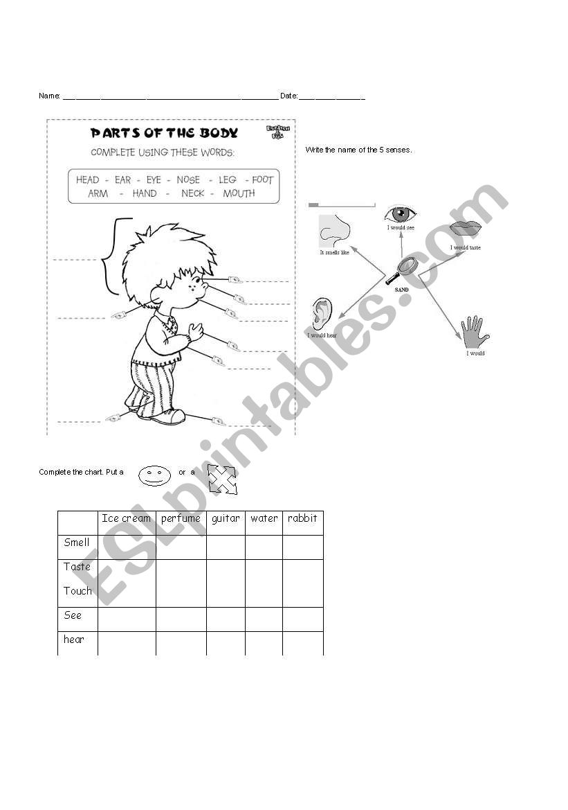 body worksheet