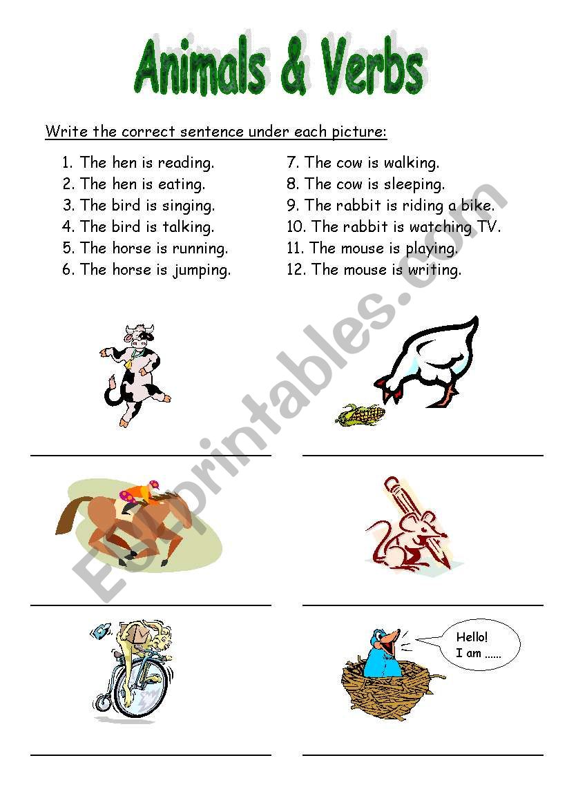 Animals and Verbs worksheet