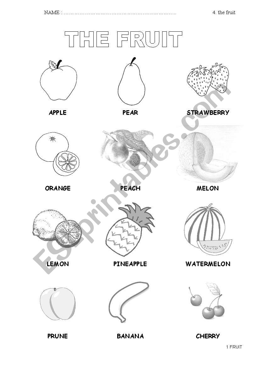 the fruit worksheet