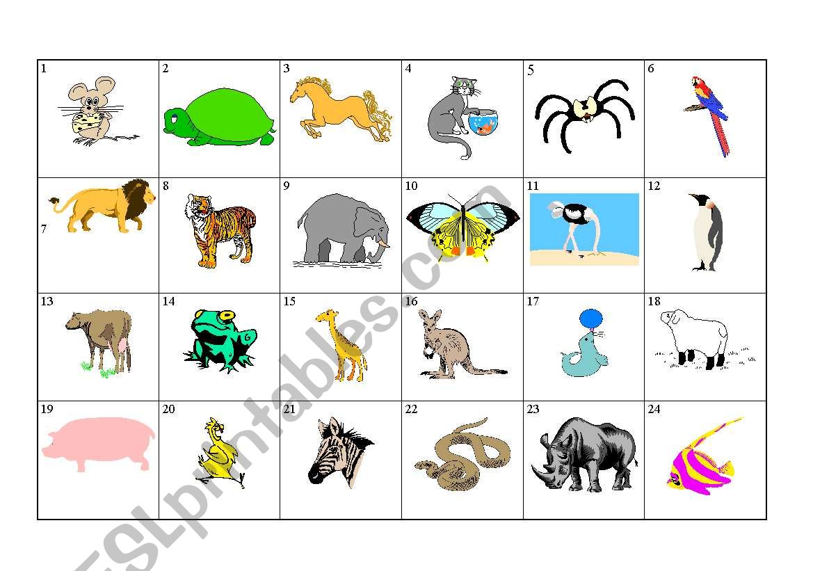 Animal LK worksheet