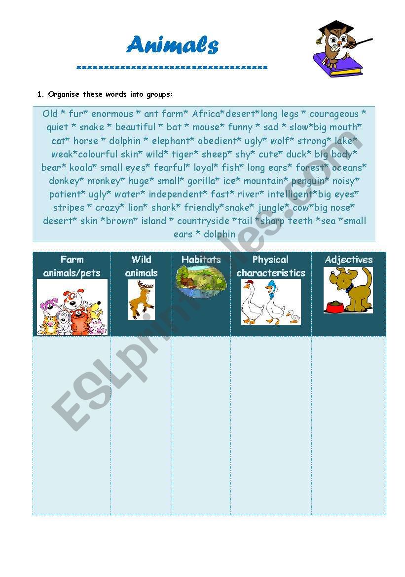 Animals worksheet