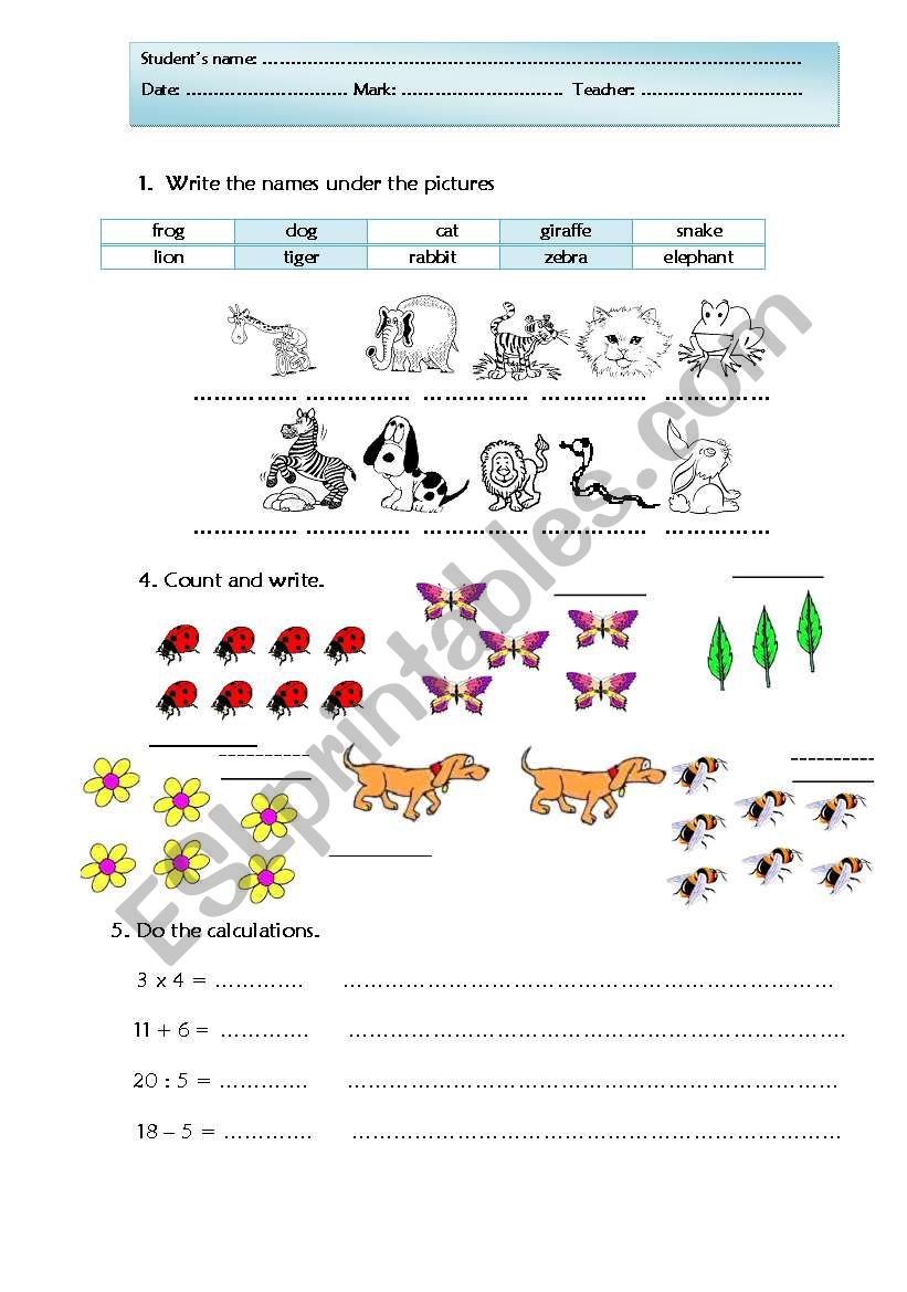 Test  worksheet