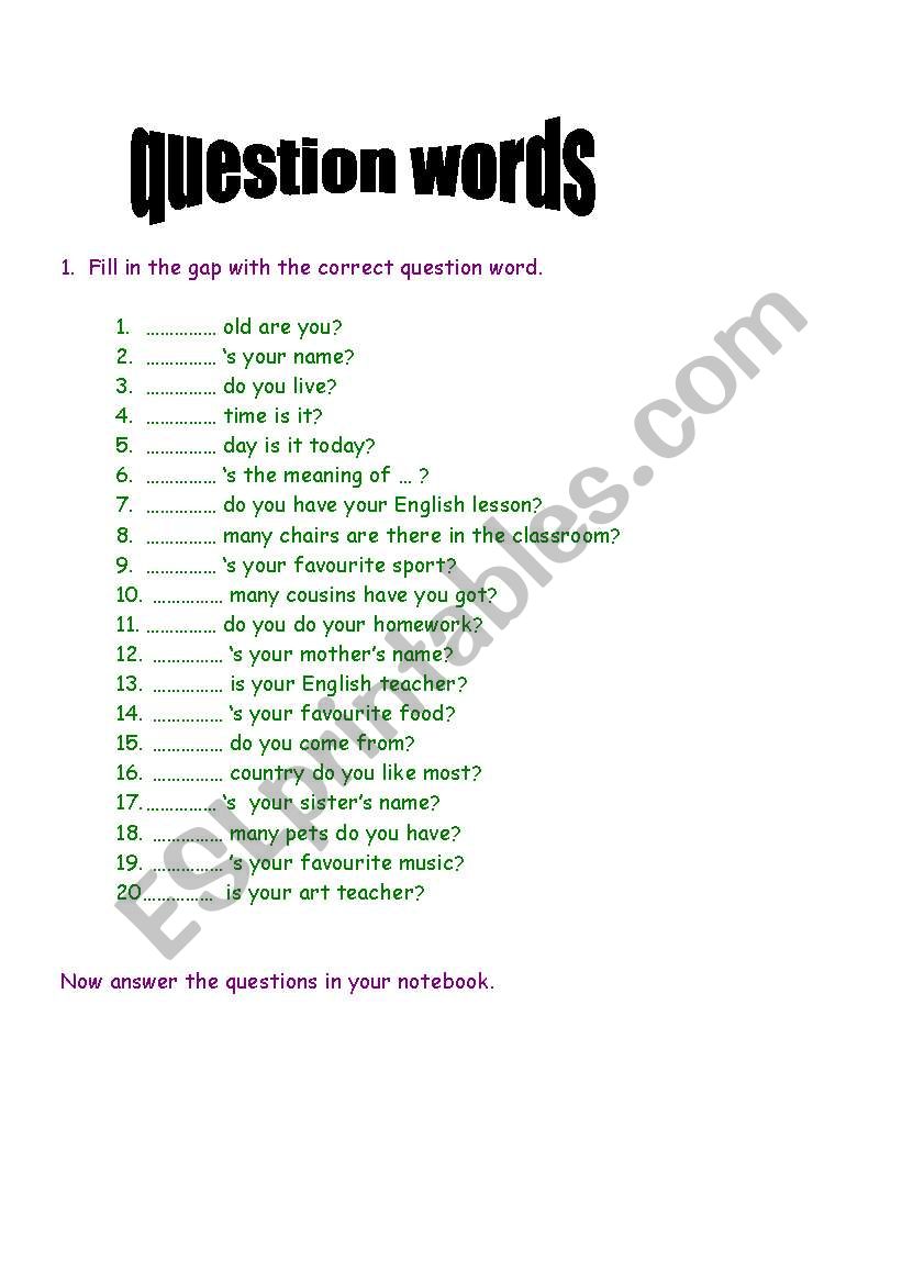 question words worksheet