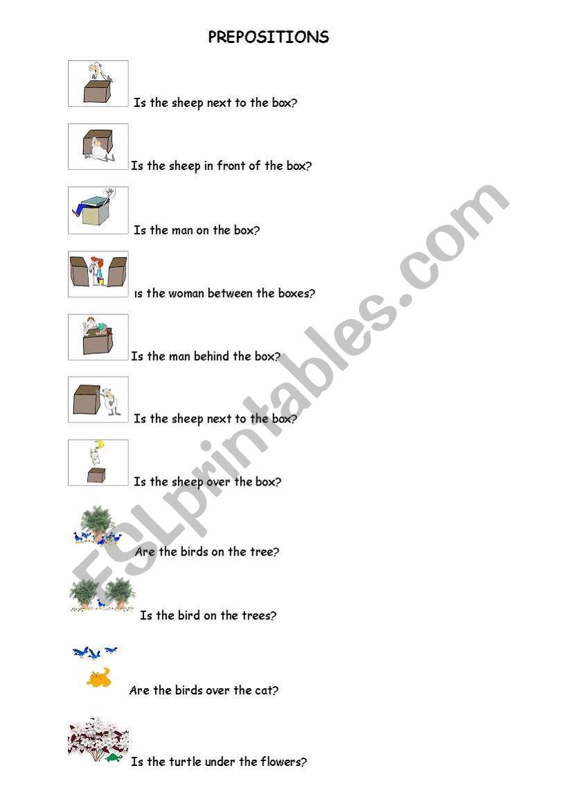 preposition questions worksheet